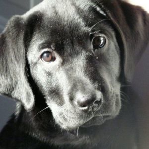 Meet your Posher, Katia